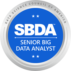 Senior Big Data Analyst